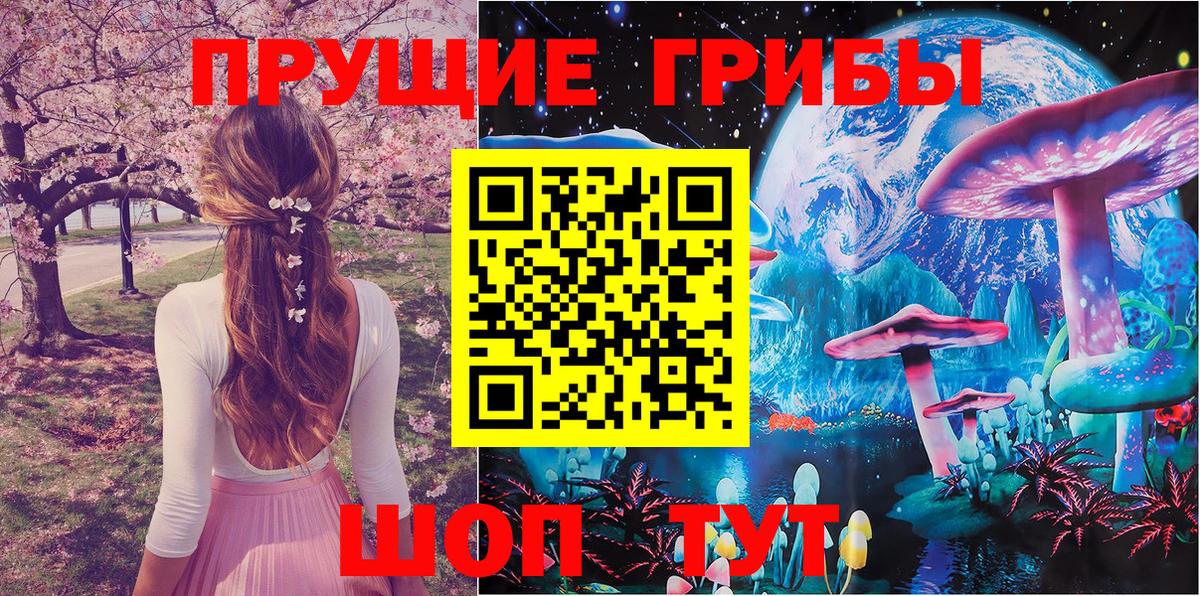 Богородск  магазин    Вход с VPN  Галлюциногенные грибы Magic Shrooms 